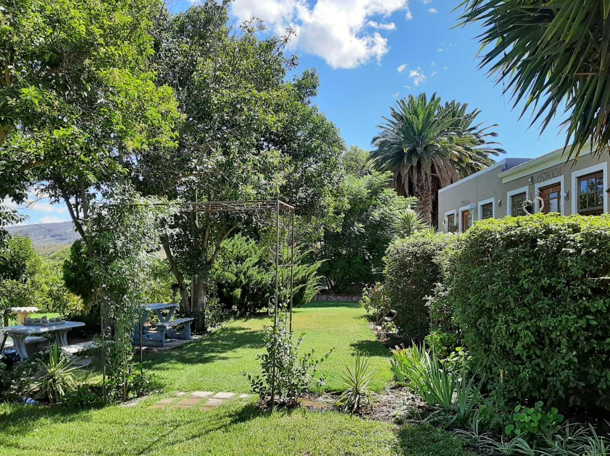 Karoo Life B&B Calitzdorp Zewnętrze zdjęcie